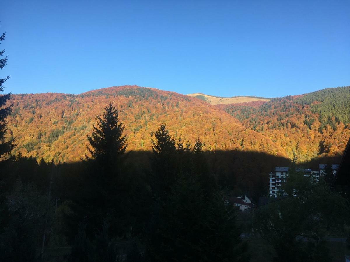 The Nest Lägenhet Sinaia Exteriör bild